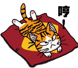 Hola cat sticker #13420913