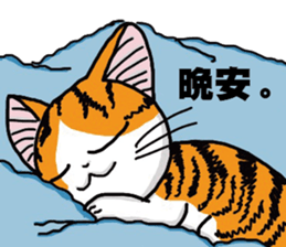 Hola cat sticker #13420917