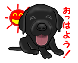 Move! Black Labrador sticker #13421750