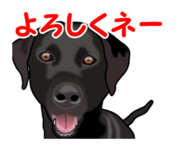 Move! Black Labrador sticker #13421751