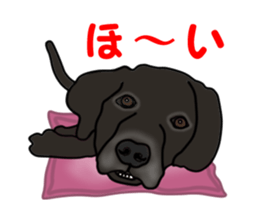 Move! Black Labrador sticker #13421752