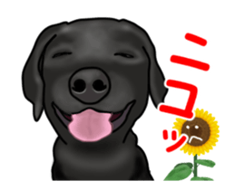 Move! Black Labrador sticker #13421754