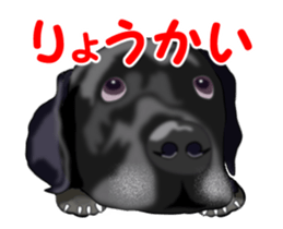 Move! Black Labrador sticker #13421757