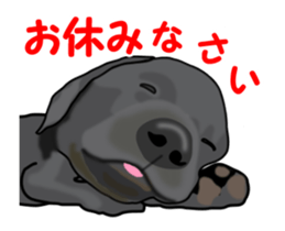 Move! Black Labrador sticker #13421760