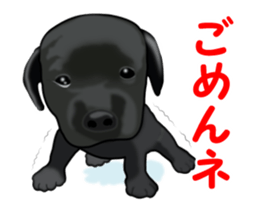 Move! Black Labrador sticker #13421762