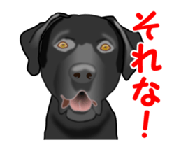 Move! Black Labrador sticker #13421763