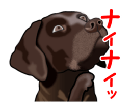 Move! Black Labrador sticker #13421764