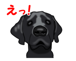 Move! Black Labrador sticker #13421765