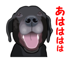 Move! Black Labrador sticker #13421766