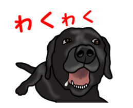 Move! Black Labrador sticker #13421767