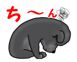 Move! Black Labrador sticker #13421768