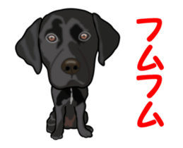 Move! Black Labrador sticker #13421769