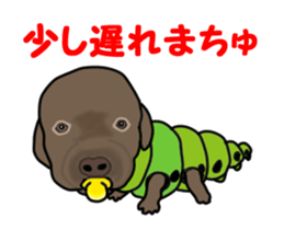 Move! Black Labrador sticker #13421770