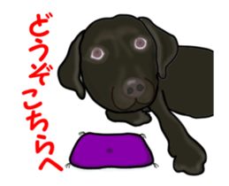 Move! Black Labrador sticker #13421771