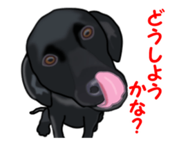 Move! Black Labrador sticker #13421772