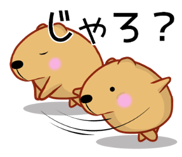 Kyapibara Hiroshima valve sticker #13423378