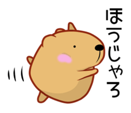 Kyapibara Hiroshima valve sticker #13423394