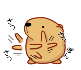 Kyapibara Hiroshima valve sticker #13423412