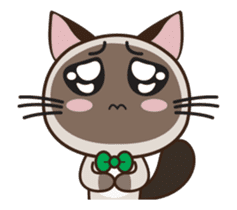 Chokdee Cute Cat DukDik1 sticker #13423506