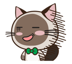 Chokdee Cute Cat DukDik1 sticker #13423513