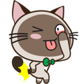Chokdee Cute Cat DukDik1