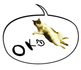 m.c selection sticker #13424146