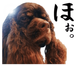 WE LOVE GABBY&BETTY sticker #13425446