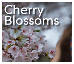 -LOVE- sticker #13426367