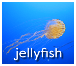 -LOVE- sticker #13426370