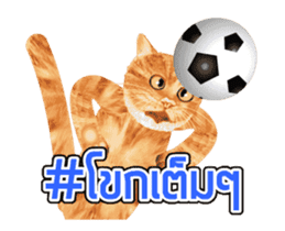 Cat Football sticker #13426861