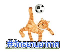 Cat Football sticker #13426862