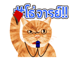 Cat Football sticker #13426869