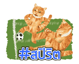 Cat Football sticker #13426872