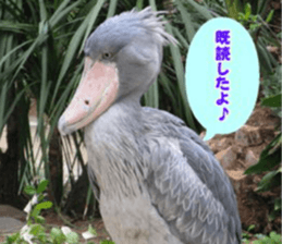 Word message of a bird and friends. sticker #13426878