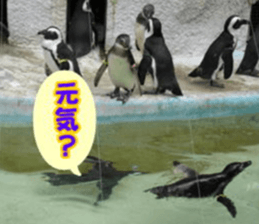 Word message of a bird and friends. sticker #13426879