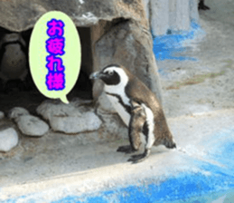 Word message of a bird and friends. sticker #13426880