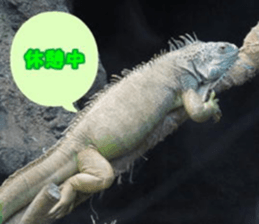 Word message of a bird and friends. sticker #13426882