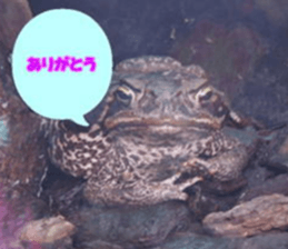 Word message of a bird and friends. sticker #13426884