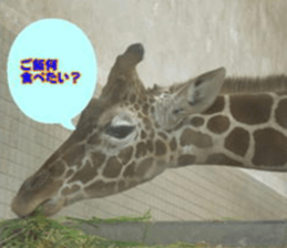 Word message of a bird and friends. sticker #13426885