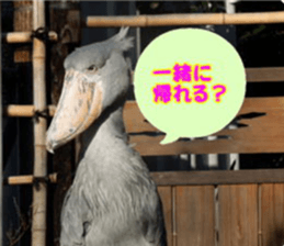 Word message of a bird and friends. sticker #13426886