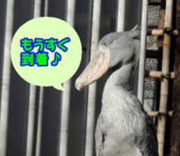 Word message of a bird and friends. sticker #13426888