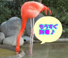 Word message of a bird and friends. sticker #13426889