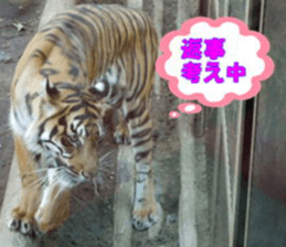 Word message of a bird and friends. sticker #13426891