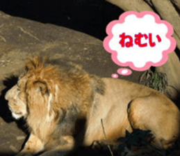 Word message of a bird and friends. sticker #13426892