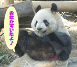 Word message of a bird and friends. sticker #13426895