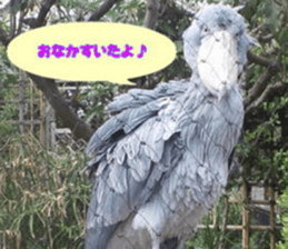 Word message of a bird and friends. sticker #13426896