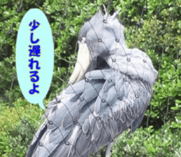 Word message of a bird and friends. sticker #13426897