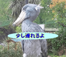 Word message of a bird and friends. sticker #13426898