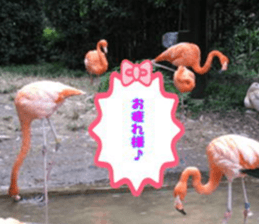 Word message of a bird and friends. sticker #13426901