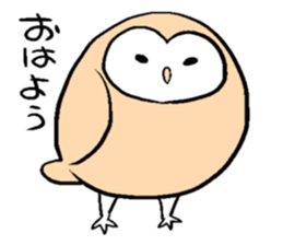 Menchan of tyto alba sticker #13427006